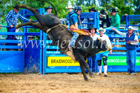 BraidwoodRodeo2017_1582