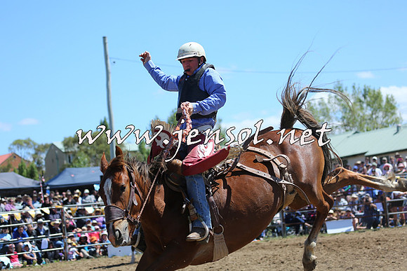 JindabyneRodeo2015_1516