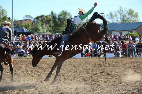 JindabyneRodeo2015_2640