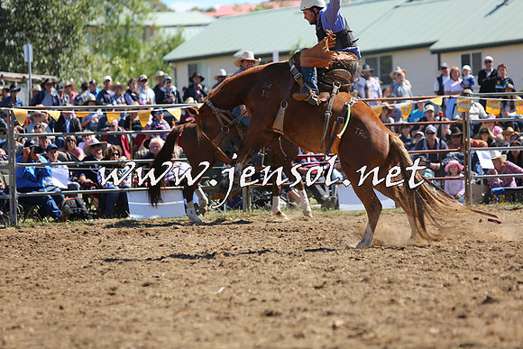 JindabyneRodeo2015_1808