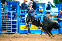 BraidwoodRodeo2017_1510