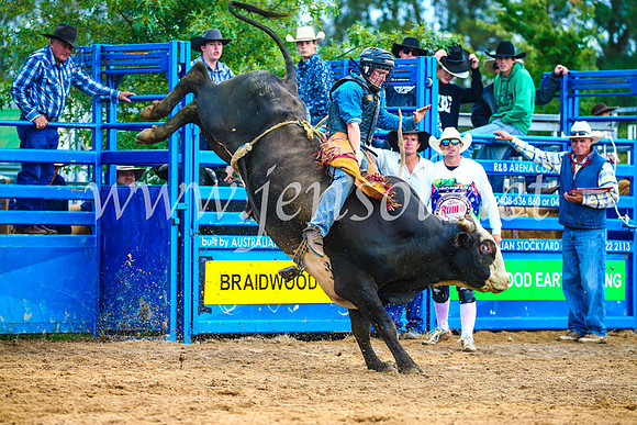 BraidwoodRodeo2017_1580