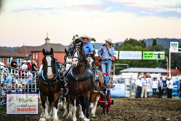 QueanbeyanRodeo2019_6208