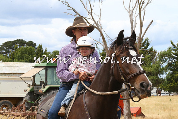 BraidwoodCampdraft2014_1300