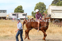 BraidwoodCampdraft2014_1512