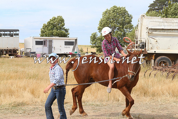 BraidwoodCampdraft2014_1512