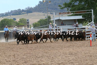 BraidwoodCampdraft2014_1575