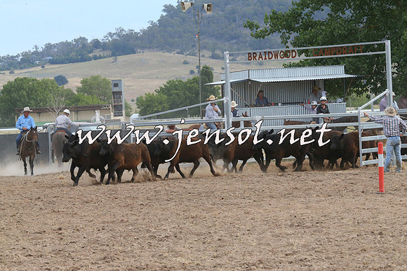 BraidwoodCampdraft2014_1575