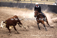 BraidwoodCampdraft2014EB_4037
