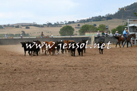 BraidwoodCampdraft2014_2287