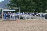 BraidwoodCampdraft2014_1375