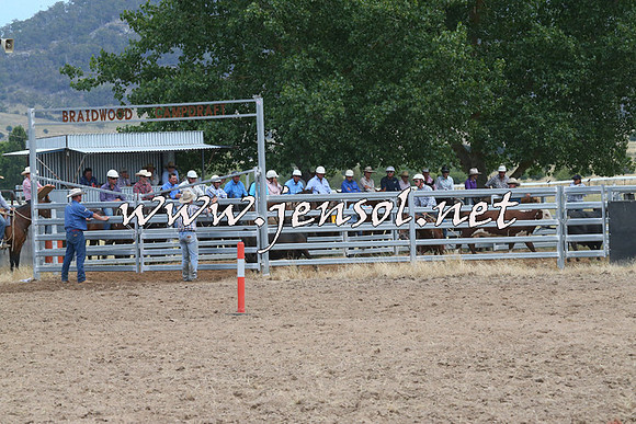 BraidwoodCampdraft2014_1375