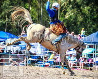 PictonRodeo2013_1633