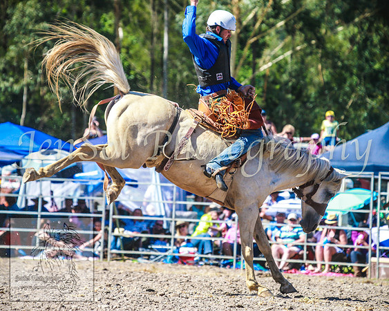 PictonRodeo2013_1633