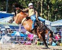 PictonRodeo2013_1832