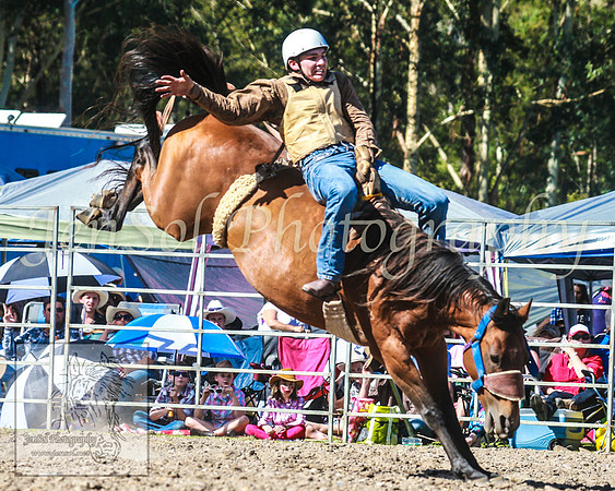 PictonRodeo2013_1832