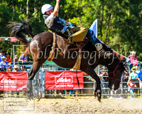 PictonRodeo2013KJS_4622