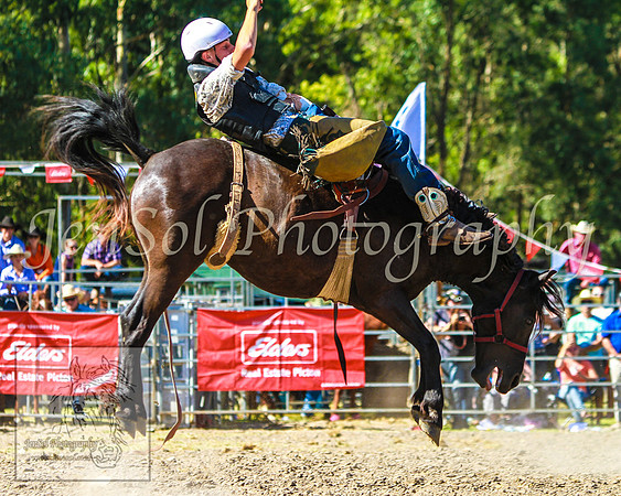 PictonRodeo2013KJS_4622