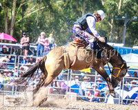PictonRodeo2013_1692