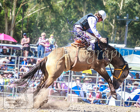 PictonRodeo2013_1692
