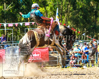 PictonRodeo2013KJS_4513