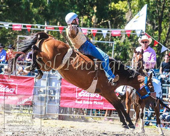 PictonRodeo2013_1811
