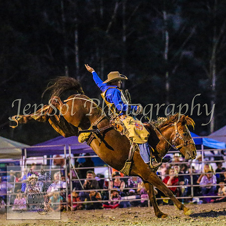 PictonRodeo2013_2880