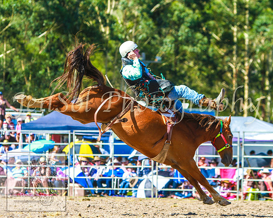PictonRodeo2013KJS_4579
