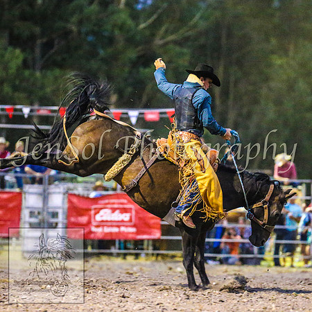 PictonRodeo2013_2803
