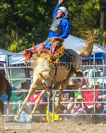 PictonRodeo2013KJS_4497