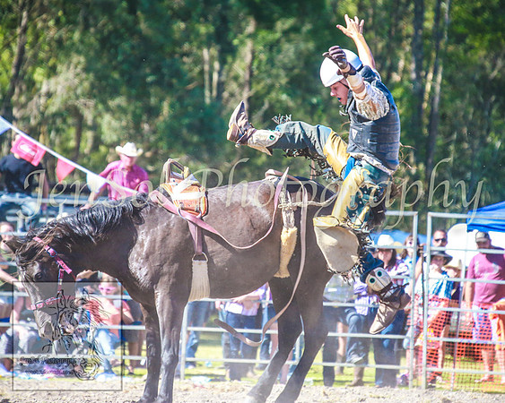 PictonRodeo2013_1898