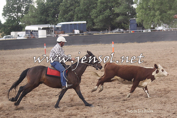 BraidwoodCampdraft2014EB_4039