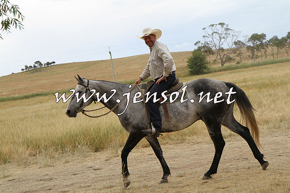 BraidwoodCampdraft2014MB_4057