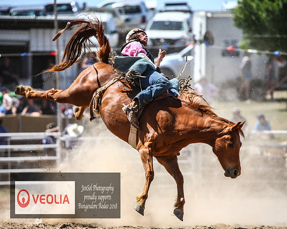 BungendoreRodeo2018-5550
