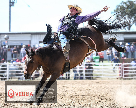 BungendoreRodeo2018-5613