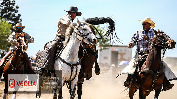 BungendoreRodeo2018-5675