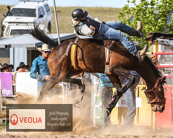 BungendoreRodeo2018-8050