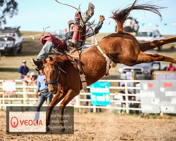 BungendoreRodeo2018-8332