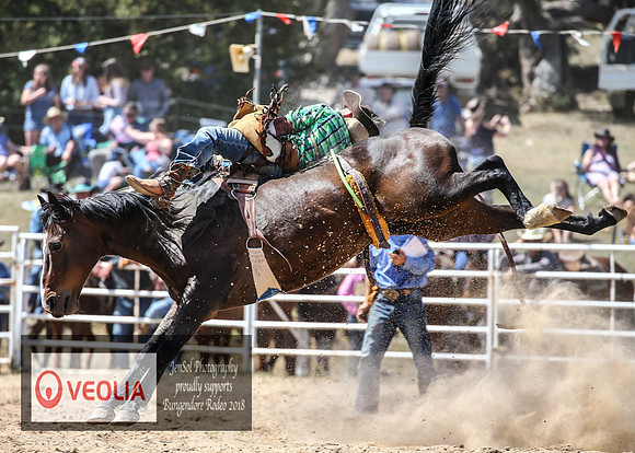 BungendoreRodeo2018-5783