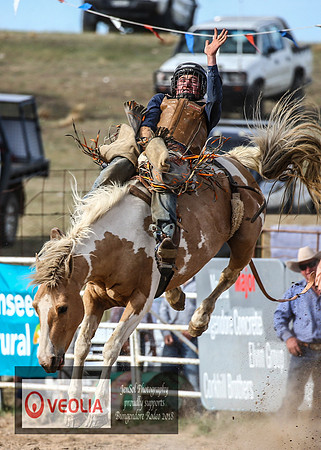 BungendoreRodeo2018-7399