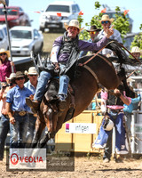 BungendoreRodeo2018-5573