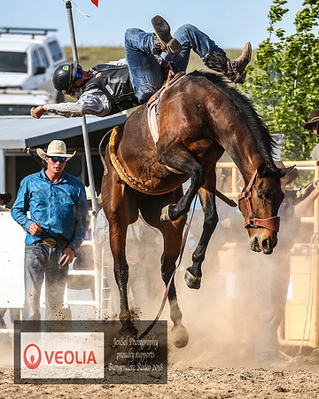 BungendoreRodeo2018-8055