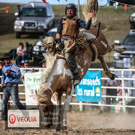 BungendoreRodeo2018-7417