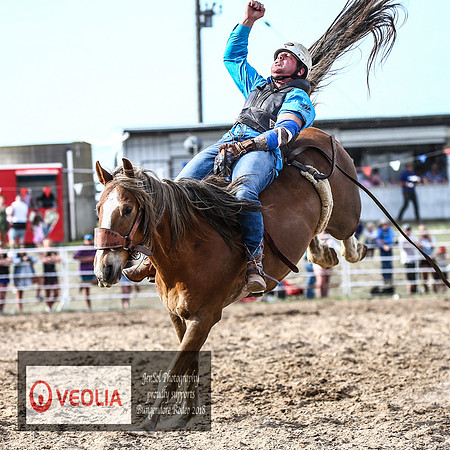 BungendoreRodeo2018-8160