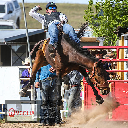 BungendoreRodeo2018-7477