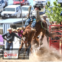 BungendoreRodeo2018-5428