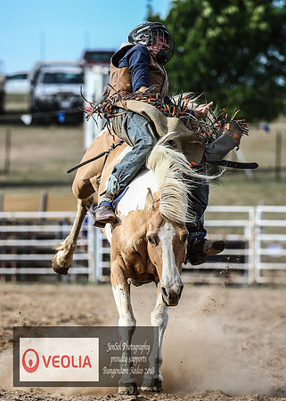 BungendoreRodeo2018-7445