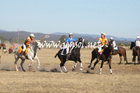 BungendorePolocrosse2013_1D_Sat_0482