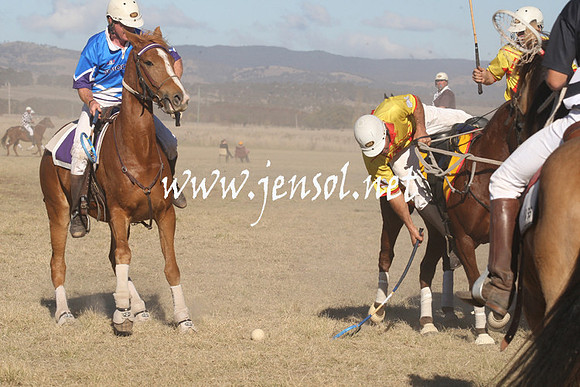 BungendorePolocrosse2013_1D_Sat_0577