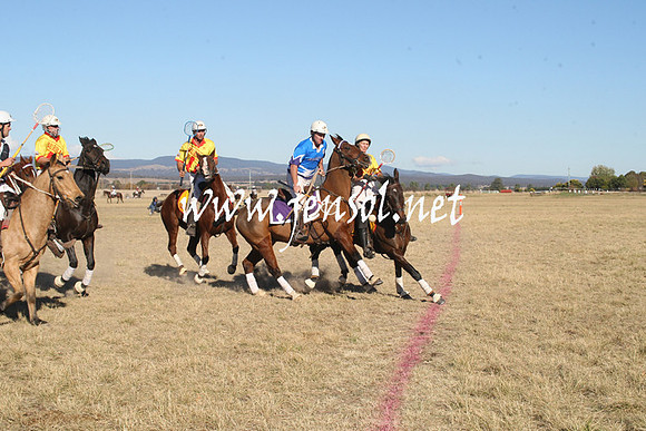 BungendorePolocrosse2013_1D_Sat_0525